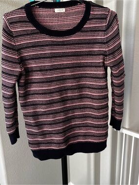J. Crew Navy and Pink Striped Crewneck Sweater